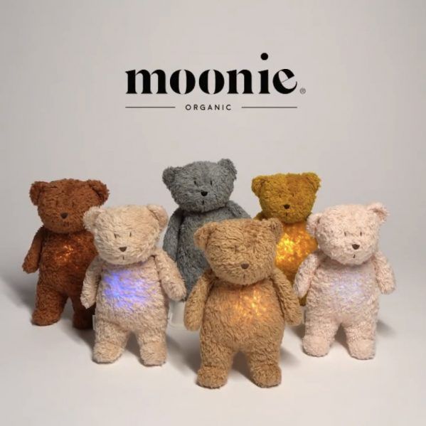 Moonie-Teddy-bear-mix.jpg